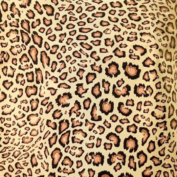 25 10X13 Poly Mailers Leopard PRICE IS FIRM - Picture 11 of 13